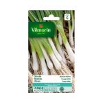 Bieslook Vroege Witte - Allium fistulosum