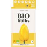 Bio Tulipa Novi Sun - bio flowerbulbs (7 stuks)