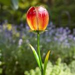 Bloem tulp - lichtgevend op zonne-energie - tuinprikker