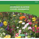 Bloemenmengsel - geurende bloemen 20 m²