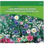 Bloemenmix - laag éénjarig 20 m²