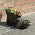 Tuinschoen als bloempot met roodborstje