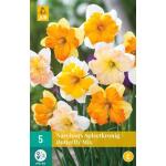 Narcissus Butterfly Mix - spleetkronig (5 stuks)