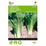 Chinese kool Granaat - Brassica pekinensis