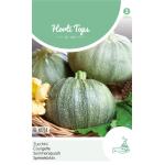 Courgette - Zucchini De Nice - Cucurbita pepo