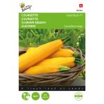 Courgette Gold Rush F1 - Cucurbita pepo