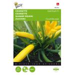 Courgette Gold Rush F1 - Cucurbita pepo