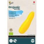 Buzzy Seeds courgette Yellowfin F1 geel BIO