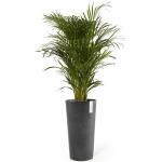 Ecopots Amsterdam High XL 76 cm - antraciet