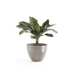 Ecopots Antwerp taupe - Ø 50 cm