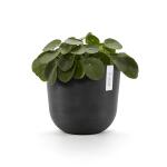 ECOPOTS Oslo met waterreservoir - antraciet Ø 25 cm