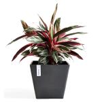 ECOPOTS Rotterdam - antraciet 50 cm