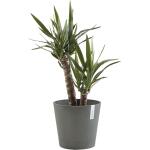 Ecopots Venice met onderschotel en waterreserve Ø 40 cm - grijs