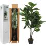 Kunstplant Ficus Lyrata 120 cm