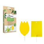 GreenProtect insectenvallen - gele lijmplaatjes (10 stuks)