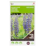 Buzzy Seeds groenbemester Blauwe Lupine 100 g - 10 m²