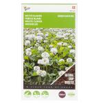 Buzzy Seeds groenbemester Witte Klaver 100 g - 100 m²