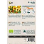 Helianthus, Zonnebloem Compact Spray BIO