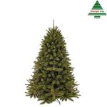 Triumph Tree kerstboom kunststof Forest Frosted groen - 185 cm