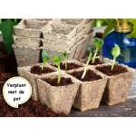 Vezelpotjes vierkant biologisch afbreekbaar - 5 x 5 cm (36 stuks)