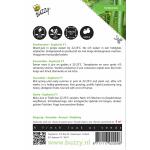 Buzzy Seeds komkommer Euphoria F1 hybride - Cucumis sativus