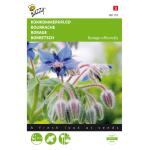 Komkommerkruid - Borago officinalis