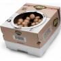 Kweekset bruine champignons - 7,5 L