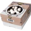 Kweekset witte champignons - 7,5 L