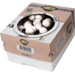 Kweekset witte champignons - 7,5 L