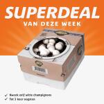 Kweekset witte champignons - 7,5 L