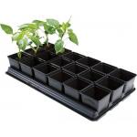 Tray met 18 vierkante potten 9 cm