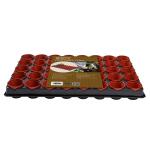 Tray met 40 kweekpotjes 6 cm