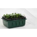 Kweektray Rapid Root - 20 cellen