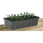 Kweektray Rapid Root - 32 cellen