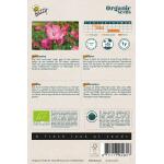 Lavatera trimestris rose/rood BIO