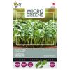 Buzzy Seeds microgreens boerenkool Westlandse herfst