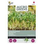 Microgreens Borage komkommerkruid