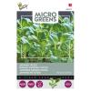 Buzzy Seedsmicrogreens Japanse Tatsoi