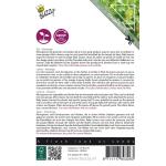 Buzzy Seeds microgreens Sla gemengd