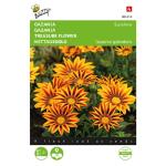 Middaggoud Sunshine gemengd - Gazania splendens