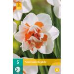 Narcissus Replete - Dubbel (5 stuks)