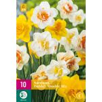 Narcissus dubbelbloemig mix (10 stuks)