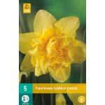 Narcissus Golden Ducat - dubbelbloemige narcis (5 stuks)