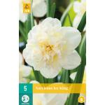 Narcissus Ice King - dubbelbloemige narcis (5 stuks)