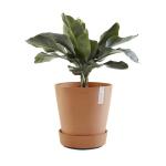 ECOPOTS Amsterdam onderschotel op wielen - terracotta Ø 41,60 cm