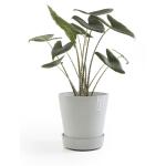 ECOPOTS Amsterdam onderschotel op wielen - witgrijs Ø 41,60 cm