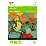 Oost-Indische kers mix - Tropaeolum majus  (rankend gemengd)