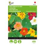 Oost-Indische kers Tom Thumb gemengd - Tropaeolum majus nanum