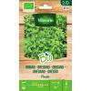 Oregano Paula BIO