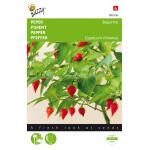 Peper Biquinho - Capsicum chinense